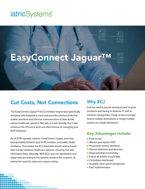 EasyConnect Jaguar brochure thumbnail preview